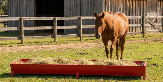 Feed Tub for Livestock